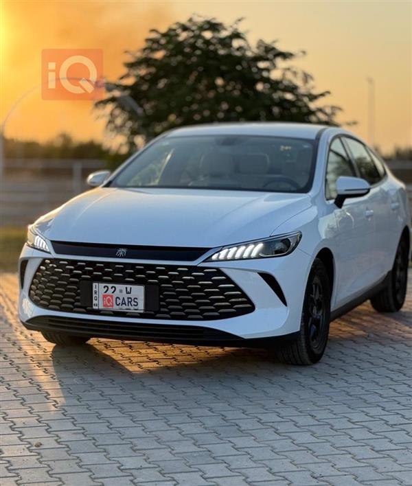 بي واي دي Qin Plus 2025 للبيع في العراق - كركوك